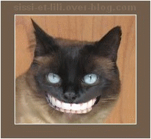 Image hébergée par Casimages.com : votre hébergeur d images simple et gratuit