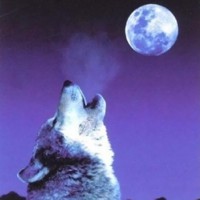 Image hébergée par Casimages.com : votre hébergeur d images simple et gratuit