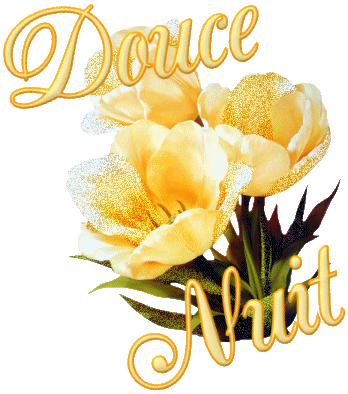 voir l'image en taille réelle