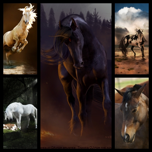 Image h�berg�e par Casimages.com : votre h�bergeur d images simple et gratuit