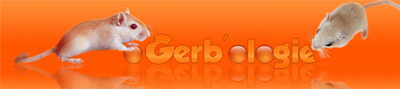 Gerb'ologie