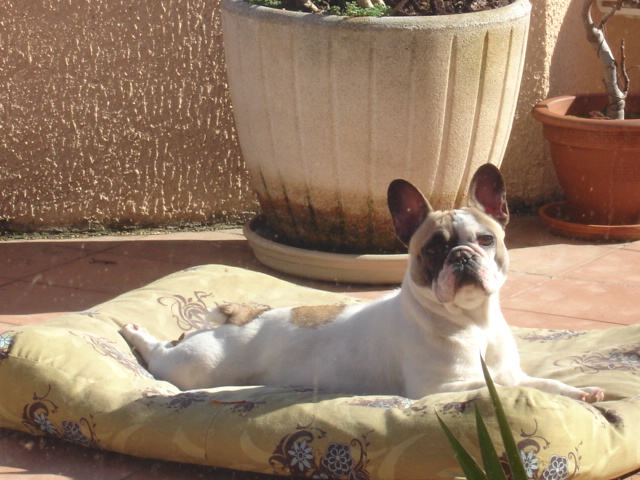 Image hébergée par Casimages.com : votre hébergeur d images simple et gratuit