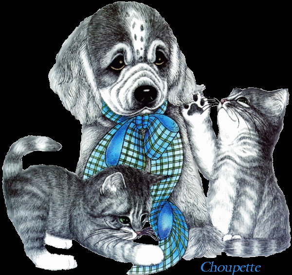 Image h�berg�e par Casimages.com : votre h�bergeur d images simple et gratuit