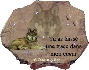 Image hébergée par Casimages.com : votre hébergeur d images simple et gratuit