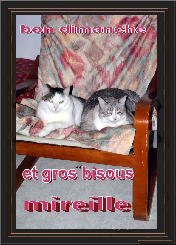voir l'image en taille réelle