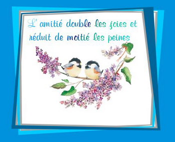 Image hébergée par Casimages.com : votre hébergeur d images simple et gratuit