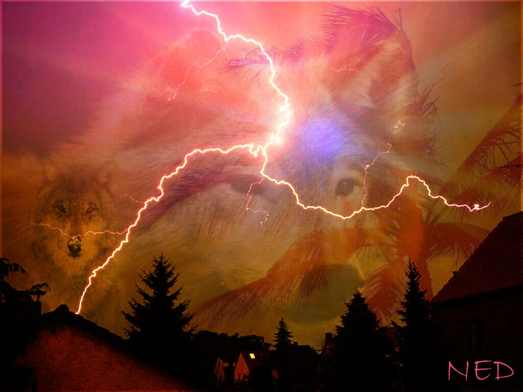 Image hébergée par Casimages.com : votre hébergeur d images simple et gratuit