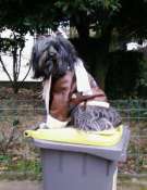 Hebergement gratuit d image et photo
