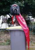 Hebergement gratuit d image et photo