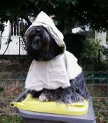 Hebergement gratuit d image et photo