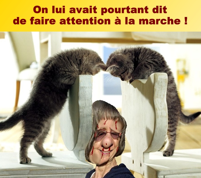http://nsm01.casimages.com/img/2009/02/23/090223060056508193202951.jpg