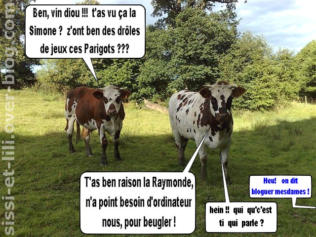 Image hébergée par Casimages.com : votre hébergeur d images simple et gratuit