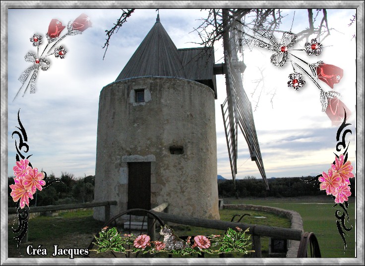 voir l'image en taille réelle