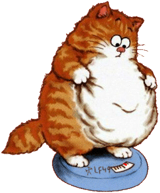 voir l'image en taille réelle