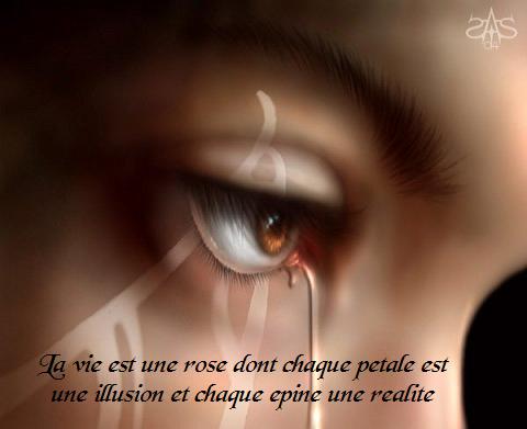Image hébergée par Casimages.com : votre hébergeur d images simple et gratuit