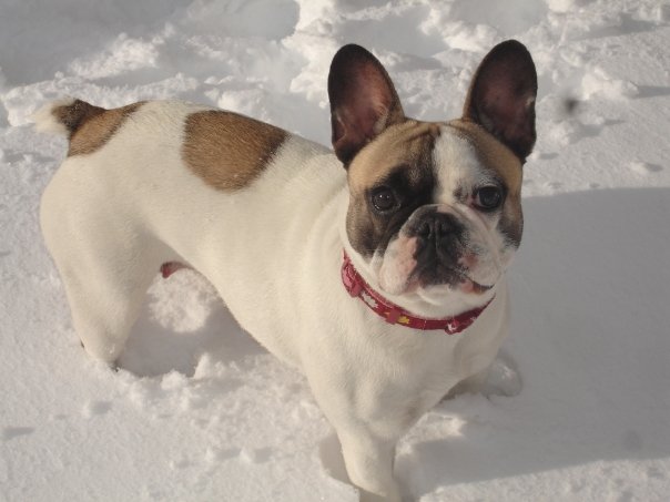 Image hébergée par Casimages.com : votre hébergeur d images simple et gratuit