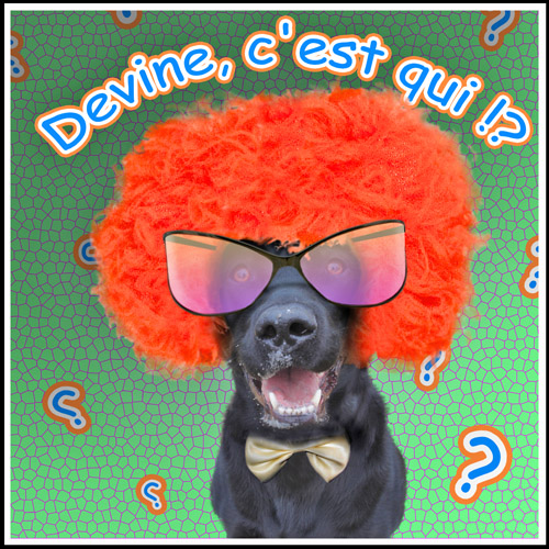 Image h�berg�e par Casimages.com : votre h�bergeur d images simple et gratuit