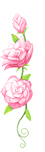 Image h�berg�e par Casimages.com : votre h�bergeur d images simple et gratuit