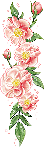 Image h�berg�e par Casimages.com : votre h�bergeur d images simple et gratuit