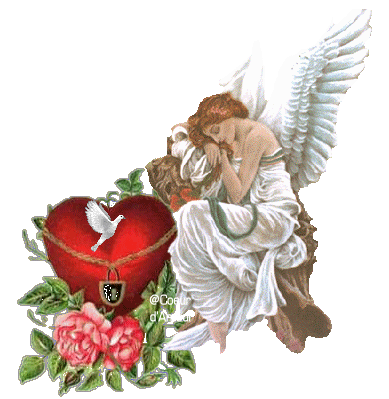 Image h�berg�e par Casimages.com : votre h�bergeur d images simple et gratuit