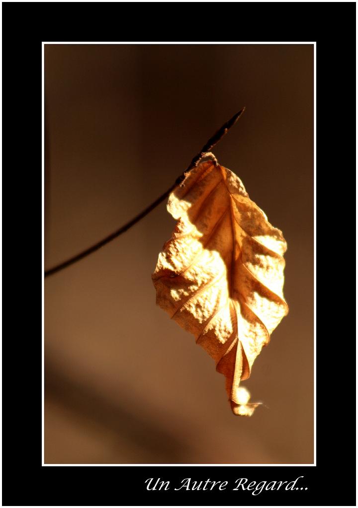 Image hébergée par Casimages.com : votre hébergeur d images simple et gratuit