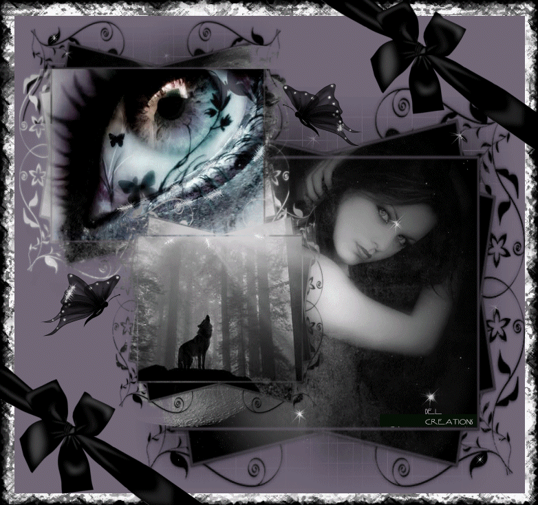 Image hébergée par Casimages.com : votre hébergeur d images simple et gratuit