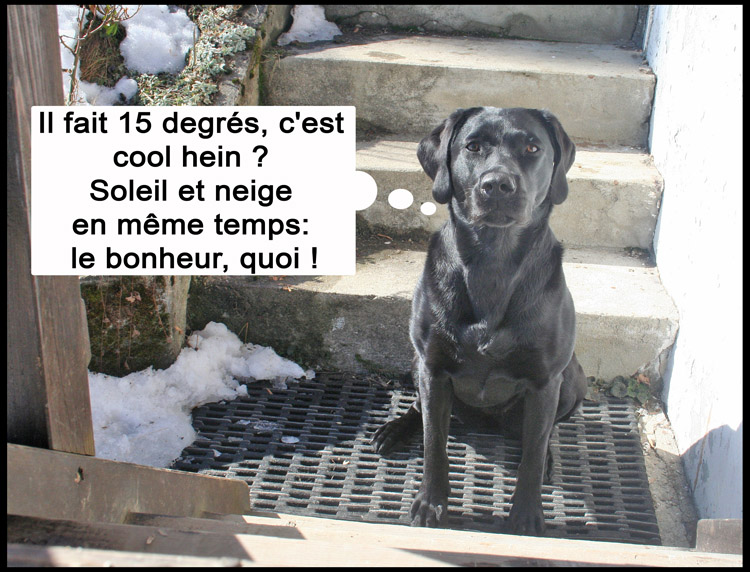 Image h�berg�e par Casimages.com : votre h�bergeur d images simple et gratuit