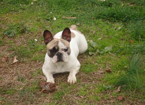 Image hébergée par Casimages.com : votre hébergeur d images simple et gratuit