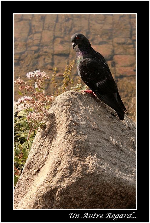 Image hébergée par Casimages.com : votre hébergeur d images simple et gratuit