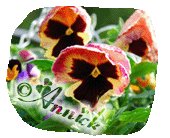 Image hébergée par Casimages.com : votre hébergeur d images simple et gratuit