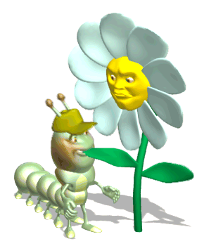 Image h�berg�e par Casimages.com : votre h�bergeur d images simple et gratuit