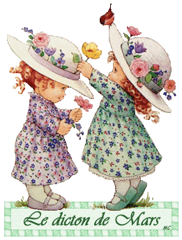 Image h�berg�e par Casimages.com : votre h�bergeur d images simple et gratuit