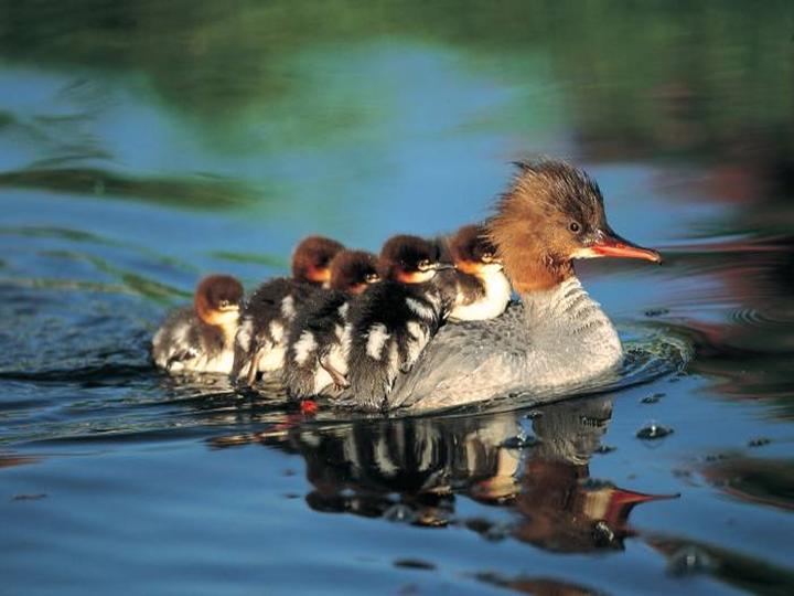 Image hébergée par Casimages.com : votre hébergeur d images simple et gratuit