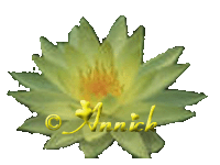 Image hébergée par Casimages.com : votre hébergeur d images simple et gratuit