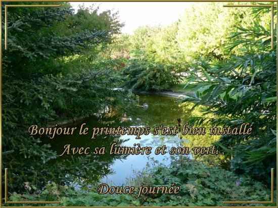 voir l'image en taille réelle