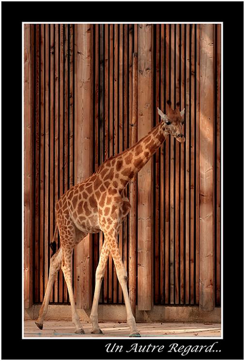 Image hébergée par Casimages.com : votre hébergeur d images simple et gratuit