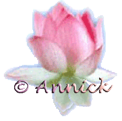 Image hébergée par Casimages.com : votre hébergeur d images simple et gratuit