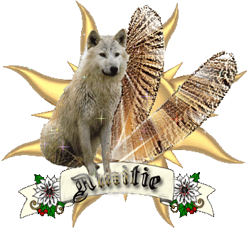 Image h�berg�e par Casimages.com : votre h�bergeur d images simple et gratuit
