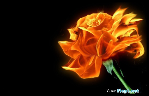 Image h�berg�e par Casimages.com : votre h�bergeur d images simple et gratuit