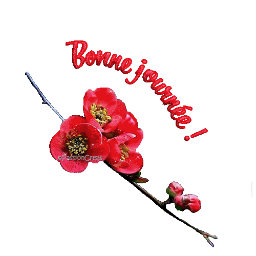 Image hébergée par Casimages.com : votre hébergeur d images simple et gratuit