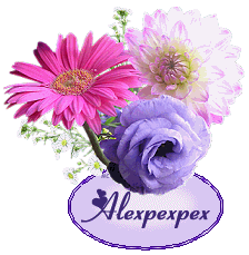 Image hébergée par Casimages.com : votre hébergeur d images simple et gratuit