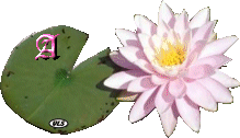 Image hébergée par Casimages.com : votre hébergeur d images simple et gratuit