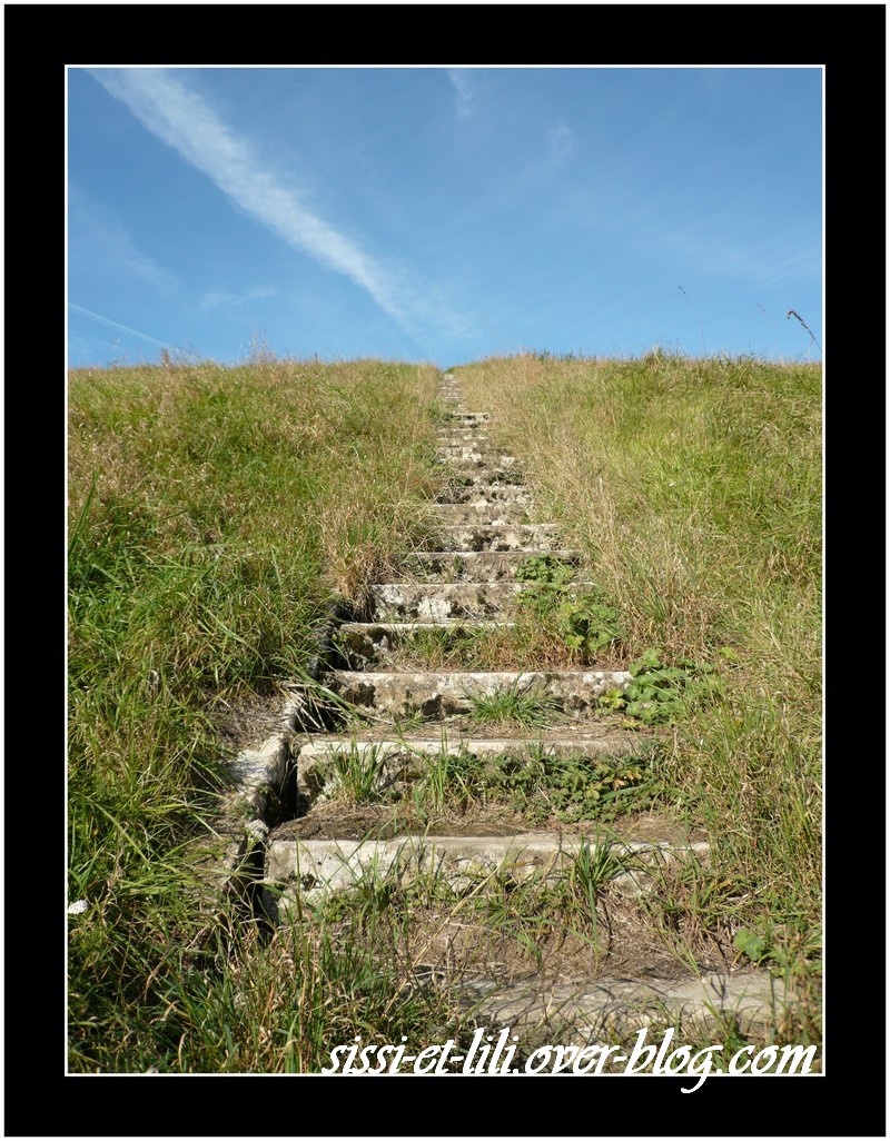 Image hébergée par Casimages.com : votre hébergeur d images simple et gratuit