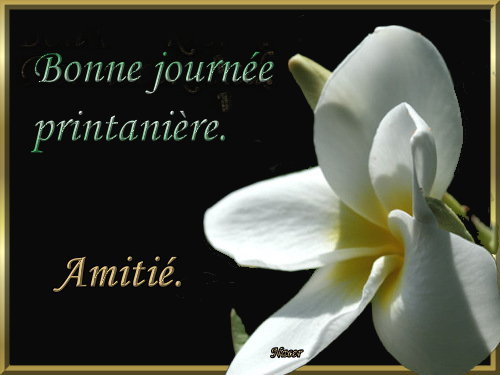 voir l'image en taille réelle