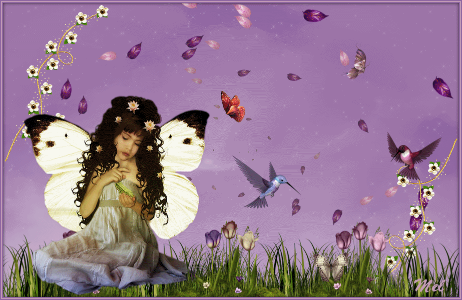 Image hébergée par Casimages.com : votre hébergeur d images simple et gratuit