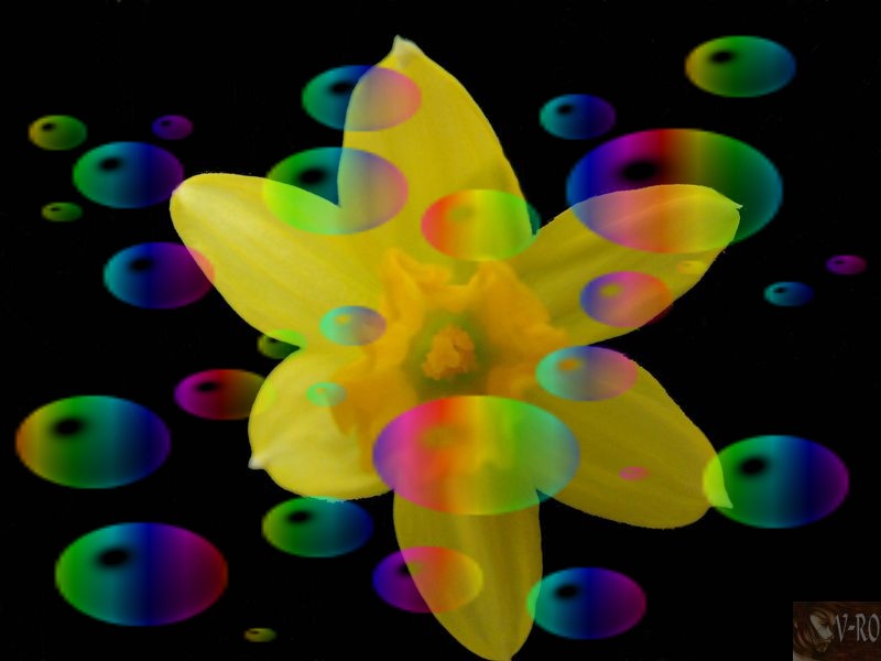 090316105011133813327568