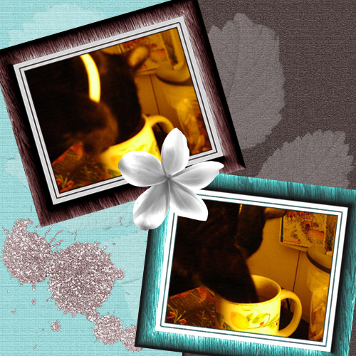 Image hébergée par Casimages.com : votre hébergeur d images simple et gratuit