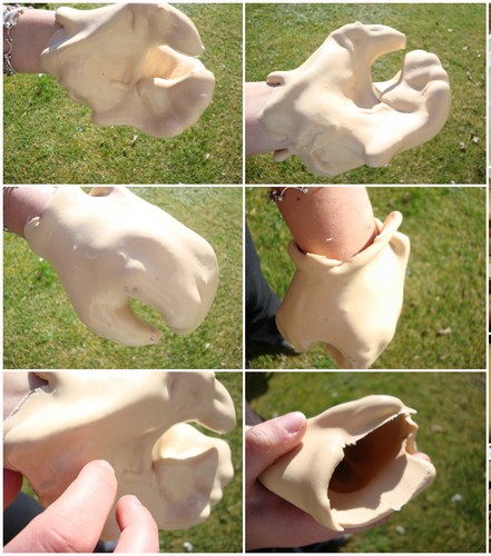 Image hébergée par Casimages.com : votre hébergeur d images simple et gratuit