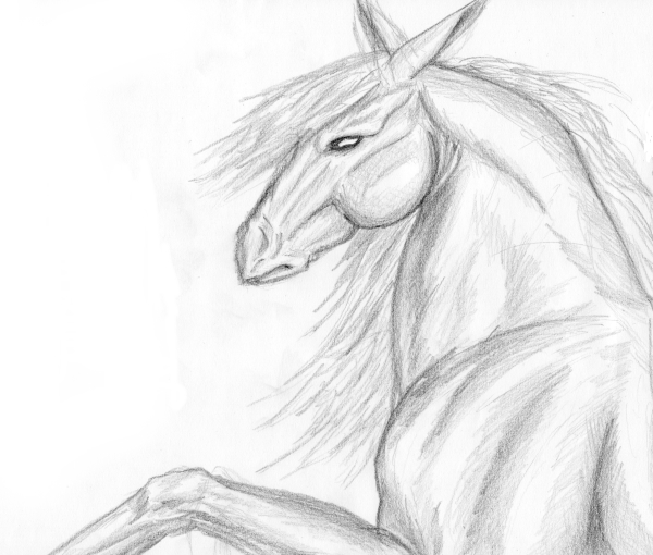 Image hébergée par Casimages.com : votre hébergeur d images simple et gratuit