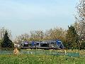 IMG_1348